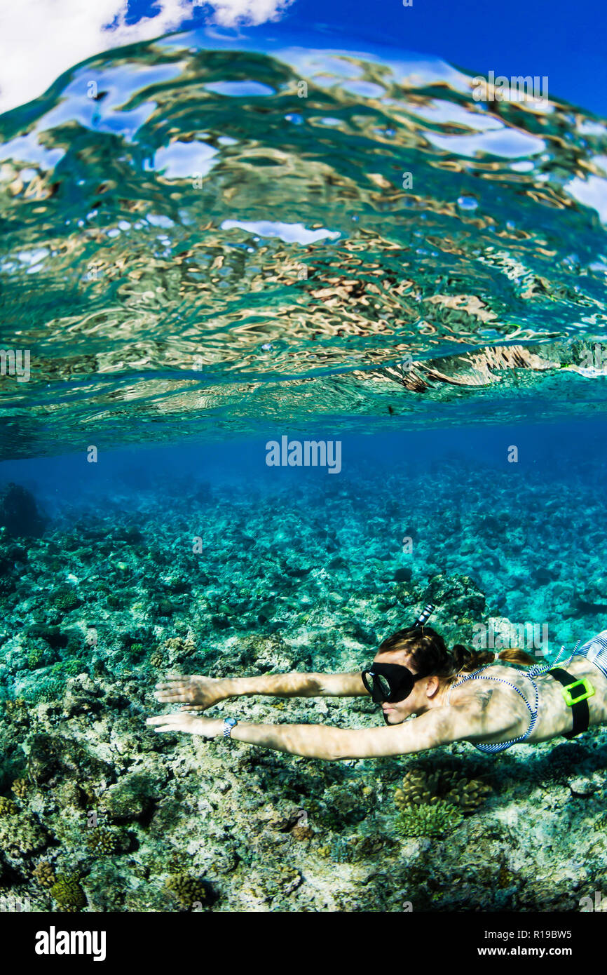 Schnorcheln Die unberührten Riffe auf der entlegenen Insel Alofi im französischen Hoheitsgebiet von Wallis und Futuna. Stockfoto