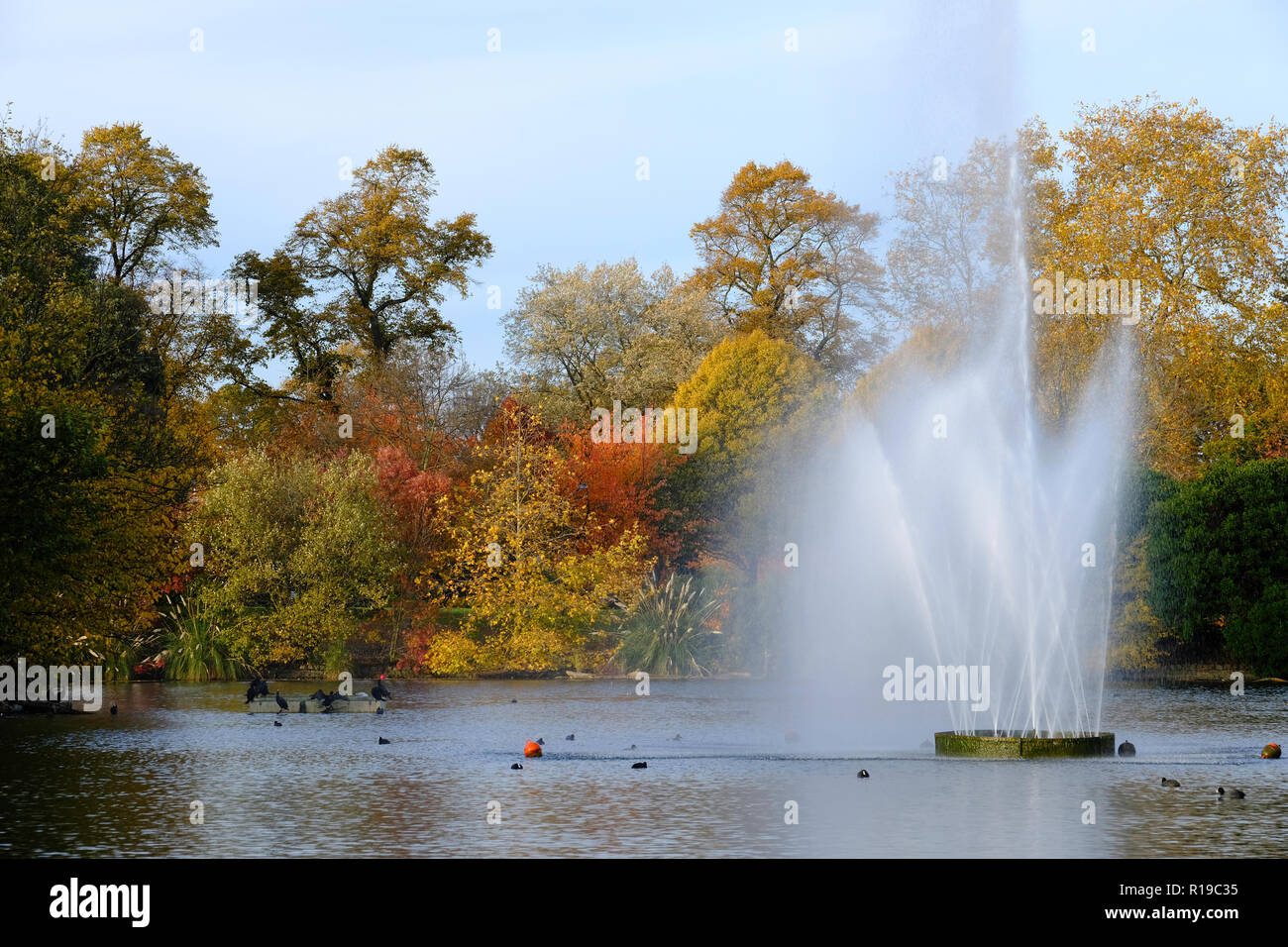Herbst im Victoria Park, Hackney, London, Vereinigtes Königreich Stockfoto