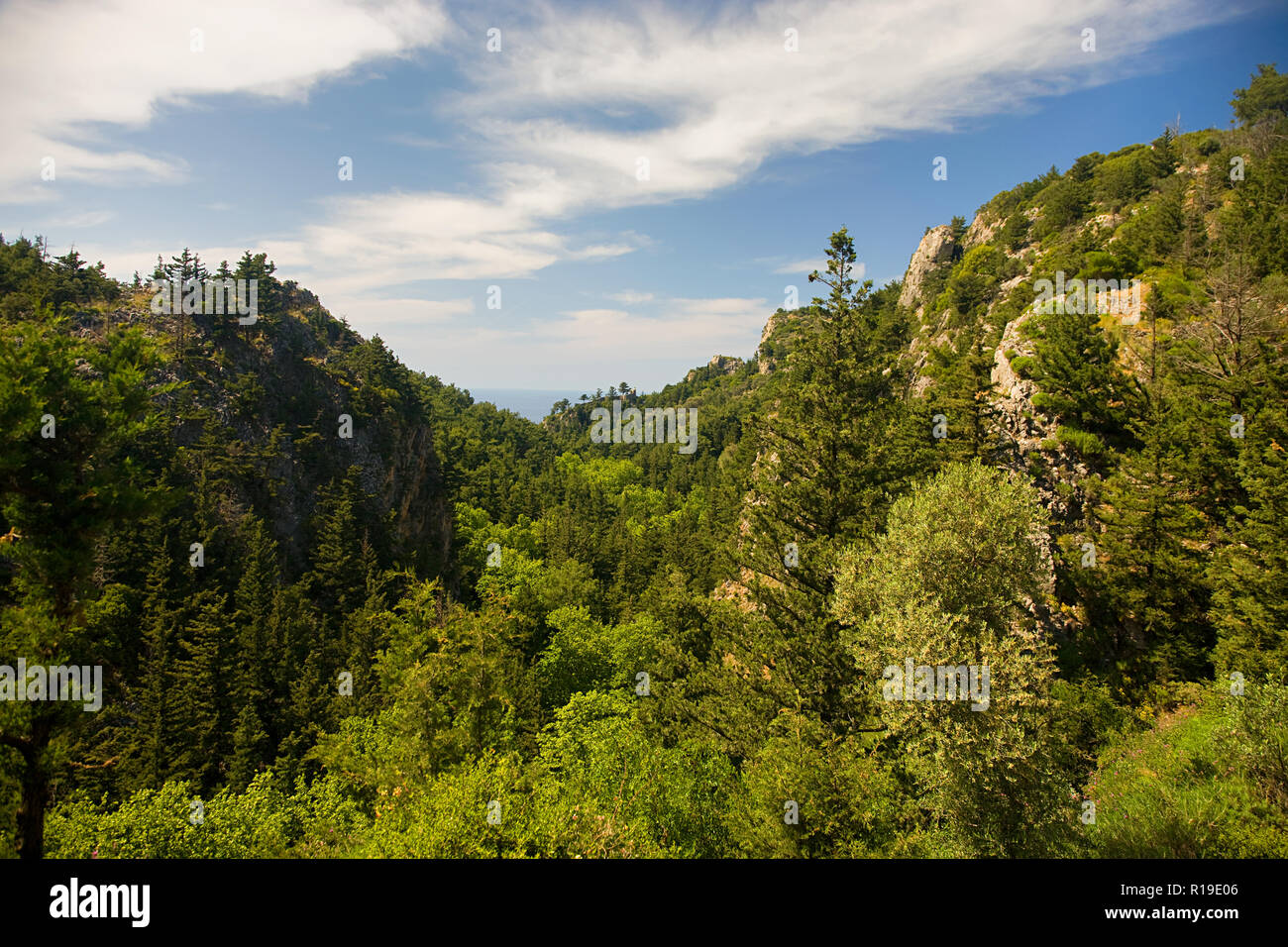 In den Wäldern der Insel Samos, in der Ägäis, Griechenland. Stockfoto