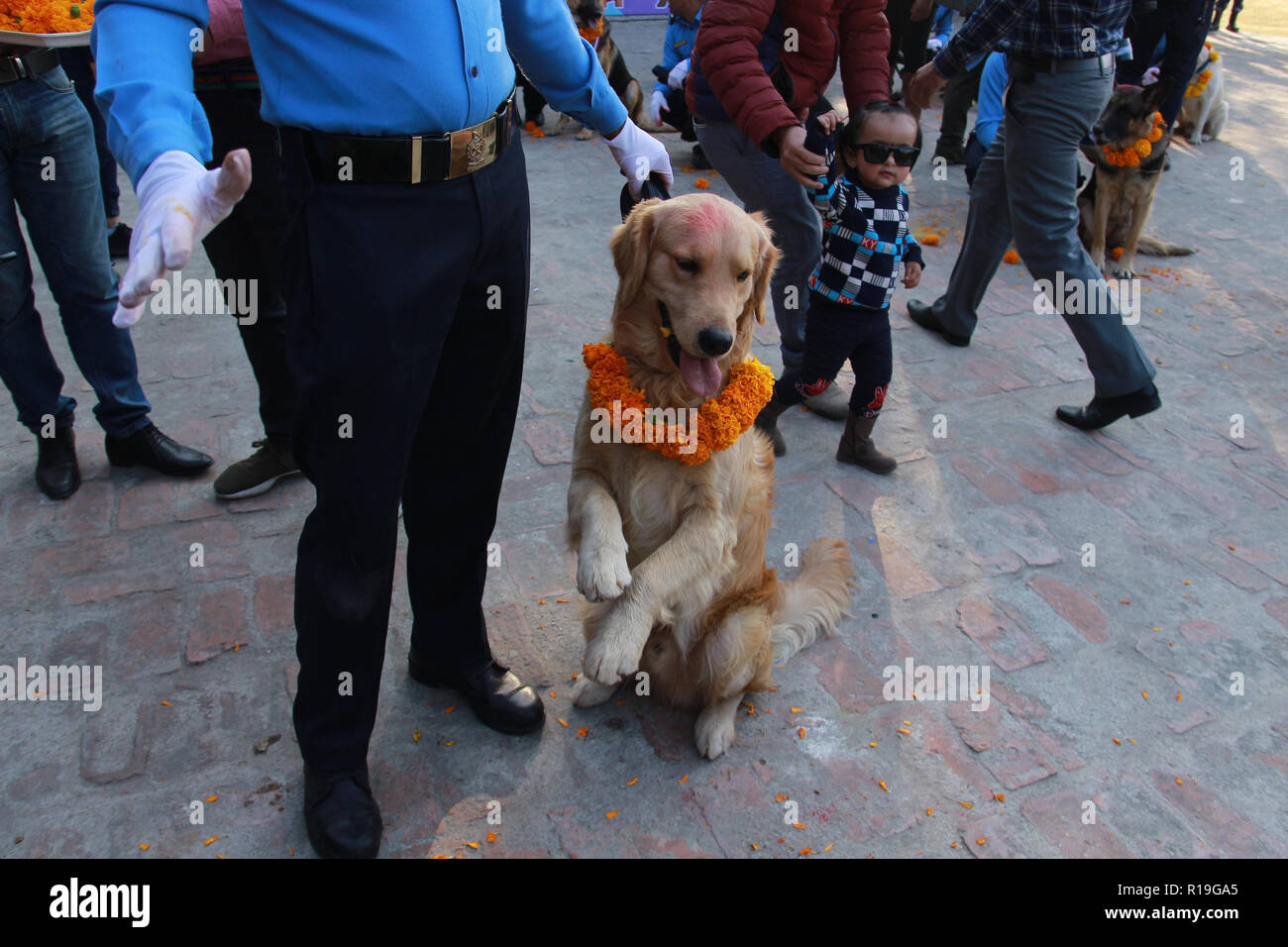 Ein Polizist feiern das Festival Teil des Rituals auf Kukur Tihar, der zweite Tag der zweitgrößte Festival in der Polizeiabteilung, Kathmandu. Stockfoto