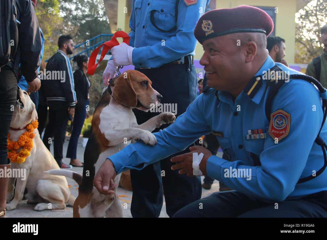 Ein Polizist feiern das Festival Teil des Rituals auf Kukur Tihar, der zweite Tag der zweitgrößte Festival in der Polizeiabteilung, Kathmandu. Stockfoto