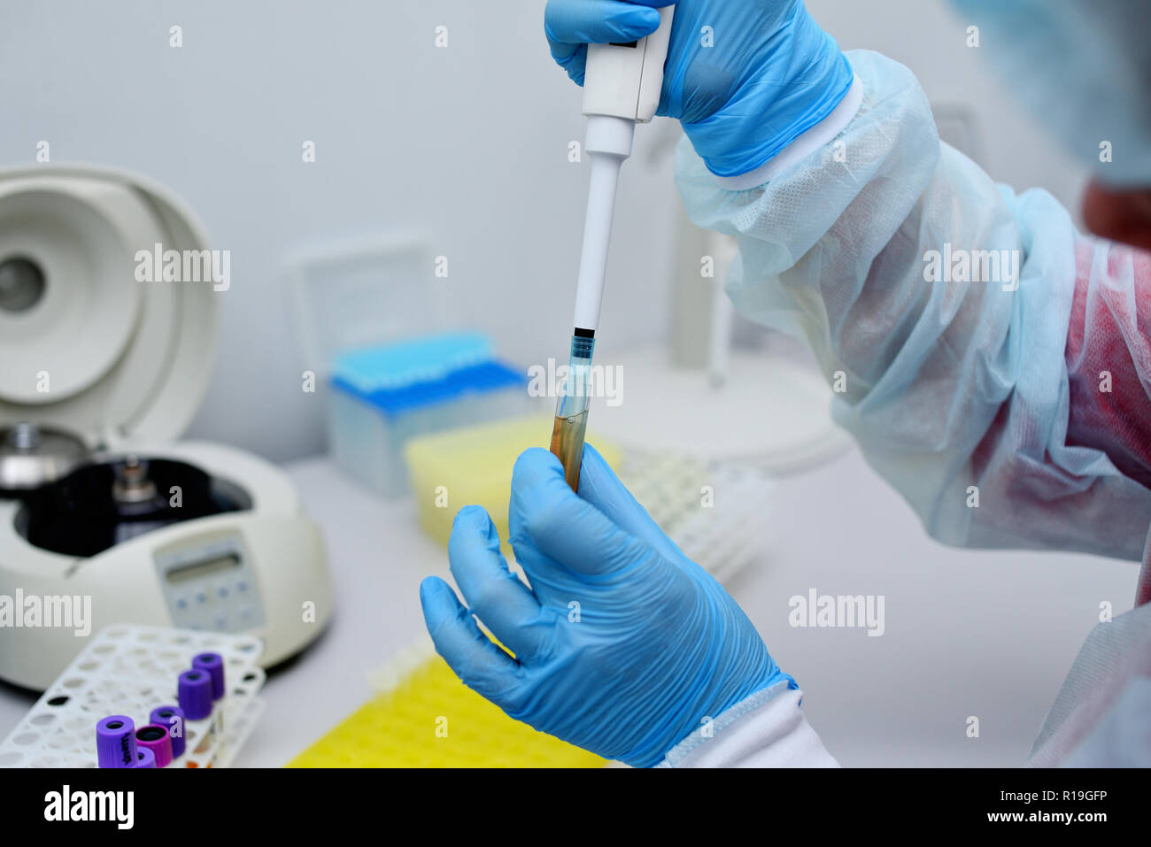 Dna Test im Labor. Ein labortechniker Tropfen Blut in einem Reagenzglas aus einem Spender. Stockfoto