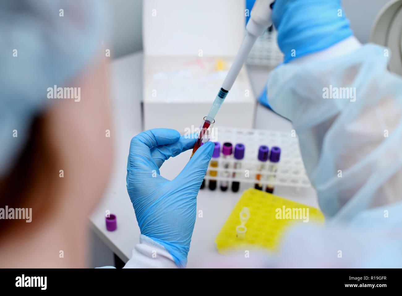 Dna Test im Labor. Ein labortechniker Tropfen Blut in einem Reagenzglas aus einem Spender. Stockfoto