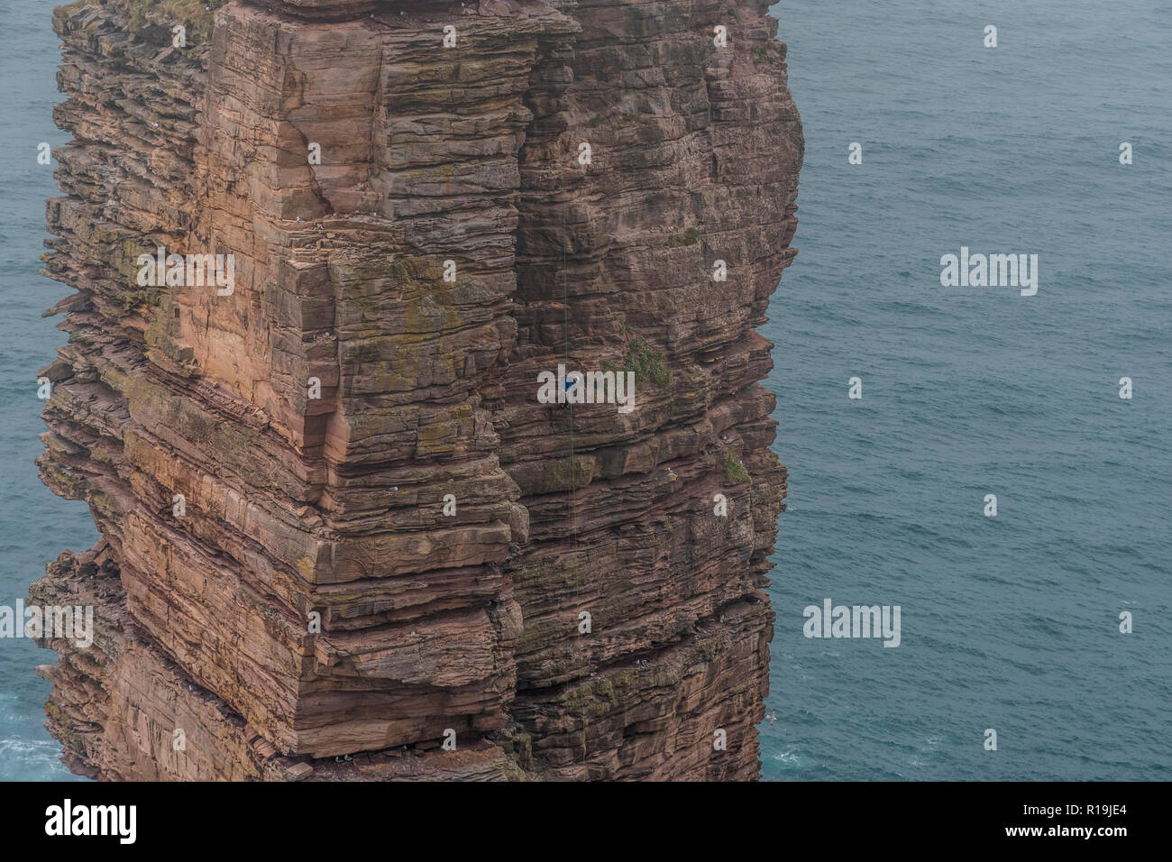 Kletterer auf alten Mann von Hoy, Orkney Stockfoto