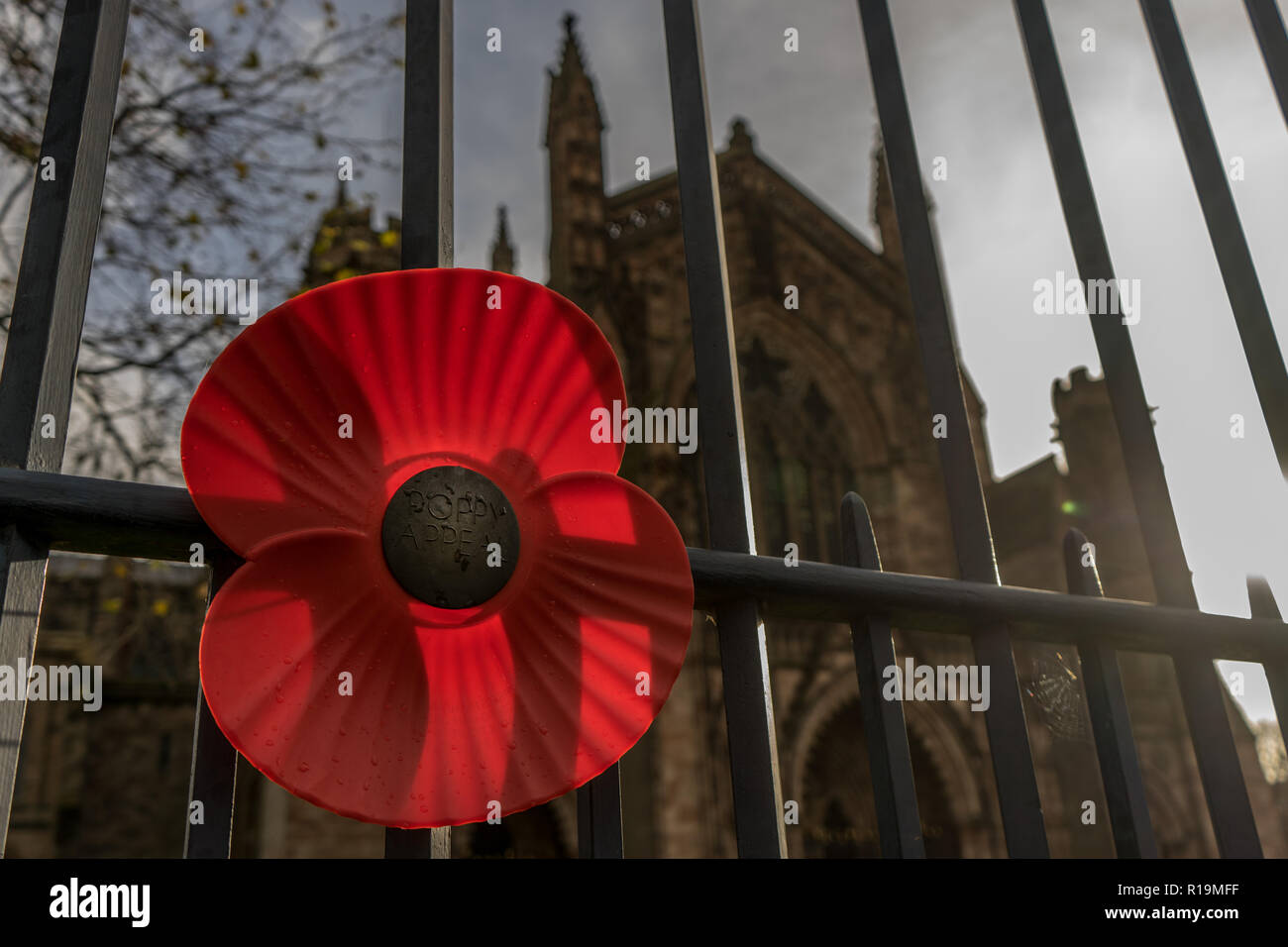 Hereford, Großbritannien. 10 Nov, 2018. HEREFORD, Großbritannien - 10 November: Ein poppiger adornes die Geländer infront von Hereford Cathedral am 10. November 2018 in Leominster, Vereinigtes Königreich. Der Waffenstillstand endet der Erste Weltkrieg zwischen den Alliierten und Deutschland in Compiegne, Frankreich auf der elften Stunde des elften Tag der elenenth Monat unterzeichnet wurde - 11 auf den 11. November 1918 Kredit bin: Jim Holz/Alamy leben Nachrichten Stockfoto