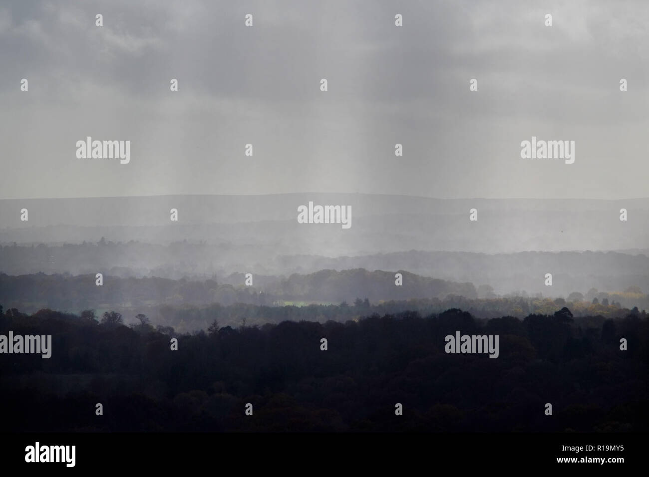 Nutley, East Sussex, UK. 10. November 2018. Herbst Farben leuchten durch Während wechselhafter Witterung im Ashdown Forest, East Sussex. © Peter Cripps/Alamy leben Nachrichten Stockfoto