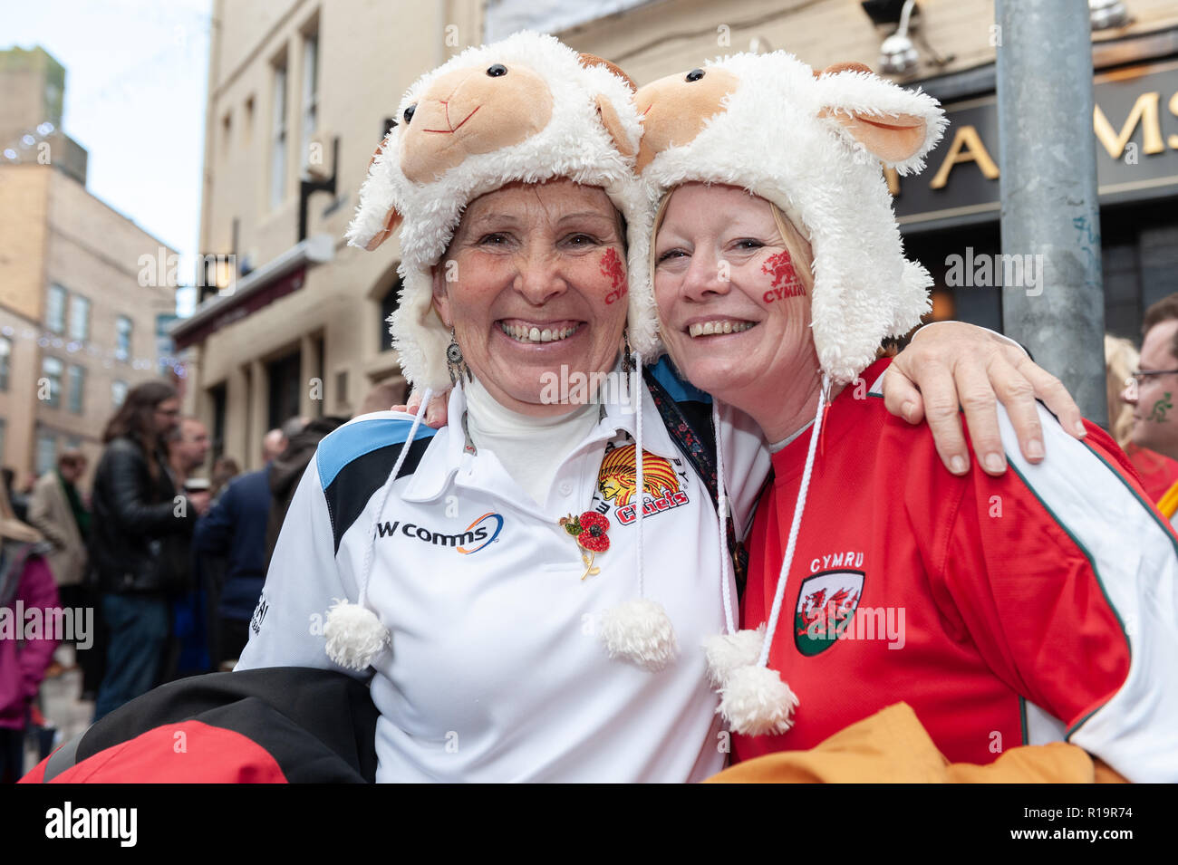 Cardiff, Wales, UK. 10 Nov, 2018. Waliser Fans ein wenig ängstlich vor dem Kick-off zwischen Wales und Australien in Cardiff. Quelle: Tim Zorn/Alamy leben Nachrichten Stockfoto