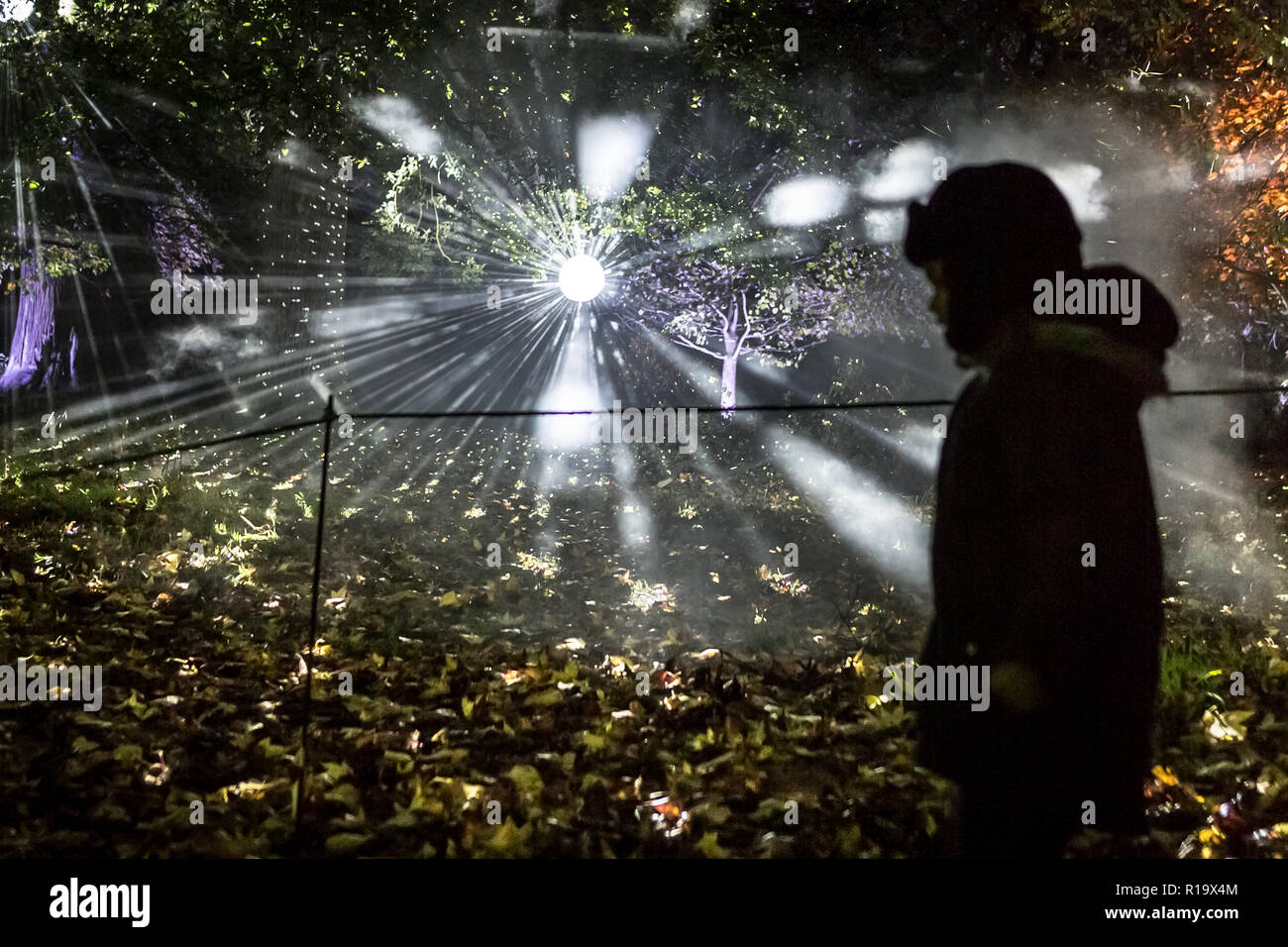 London, Großbritannien. 9. Nov 2018. Syon Park jährliche verzauberte Wälder beleuchtet. Credit: Guy Corbishley/Alamy leben Nachrichten Stockfoto