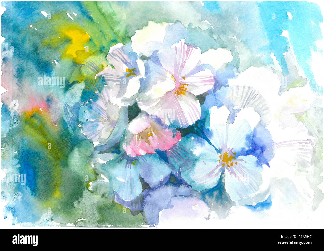 Aquarell Blumen. Cherry Blossoms. Aquarell Hintergrund Stockfoto