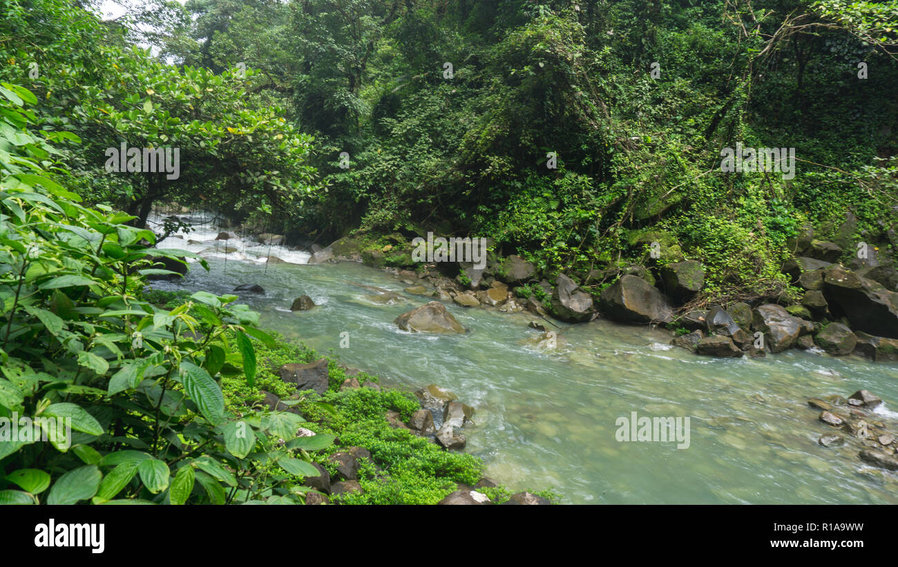 Blick auf den Rio Celeste Fluss auf die grüne Saison - das Wasser wechselt die Farbe während dieser Jahreszeit Stockfoto