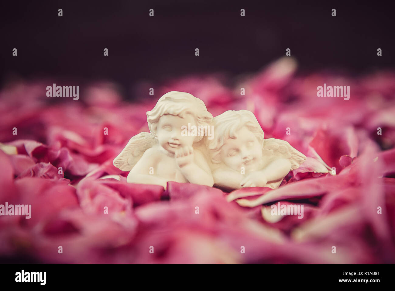 Statue Von Zwei Antike Wenig Schone Engel Der Gips Auf Dem Schwarzen Stein Mit Rosa Pfingstrose Bluten Jahrgang Valen Stockfotografie Alamy
