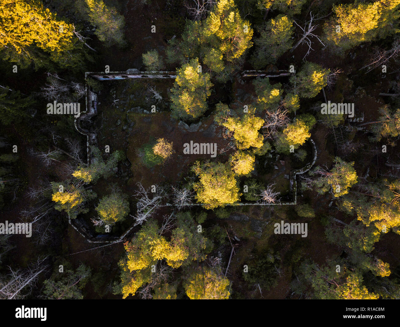 Ruinen im finnischen Wald Stockfoto