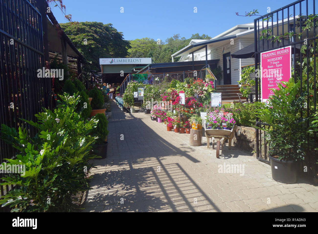 Limberlost Gärtnerei, Süßwasser, Cairns, Queensland, Australien. Keine PR oder MR. Stockfoto