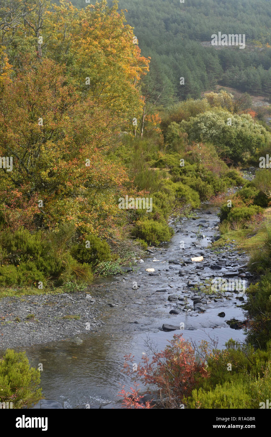 Lillas Fluss in der Tejera Negra Naturpark, Provinz Guadalajara, Spanien Stockfoto