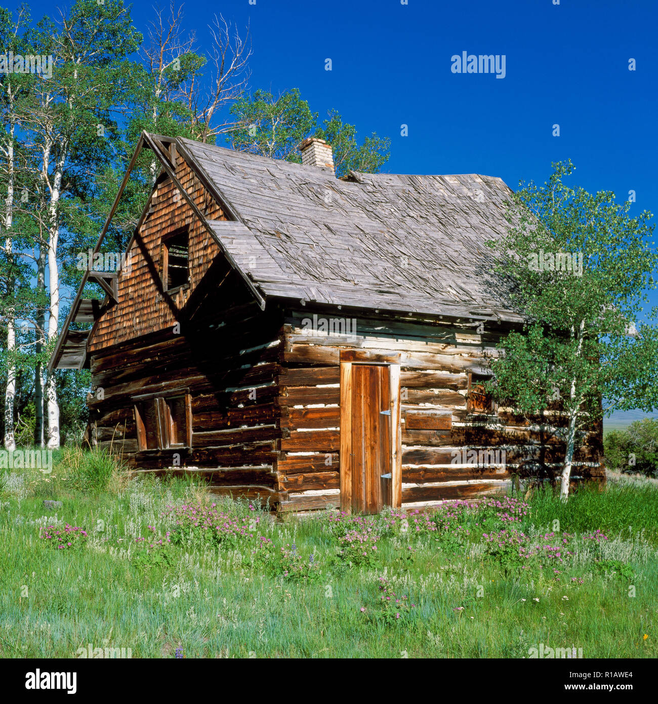 Glendennis Gehöft Hütte im hundertjährigen Tal in der Nähe von monida, montana Stockfoto