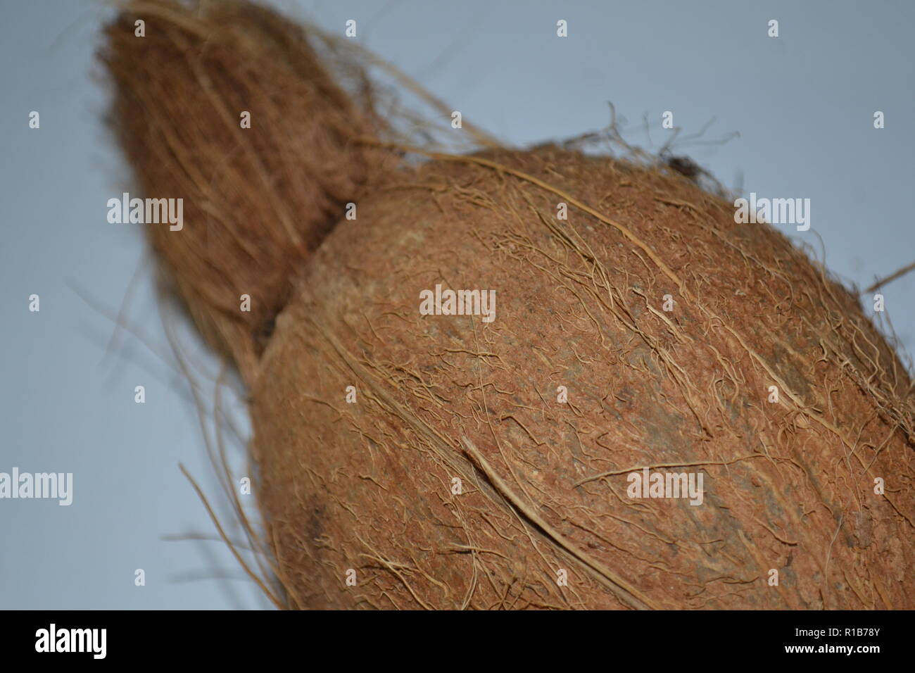 Coconut Texturen Stockfoto