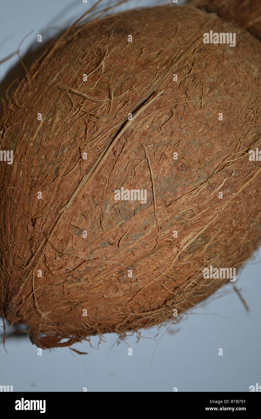 Coconut Texturen Stockfoto