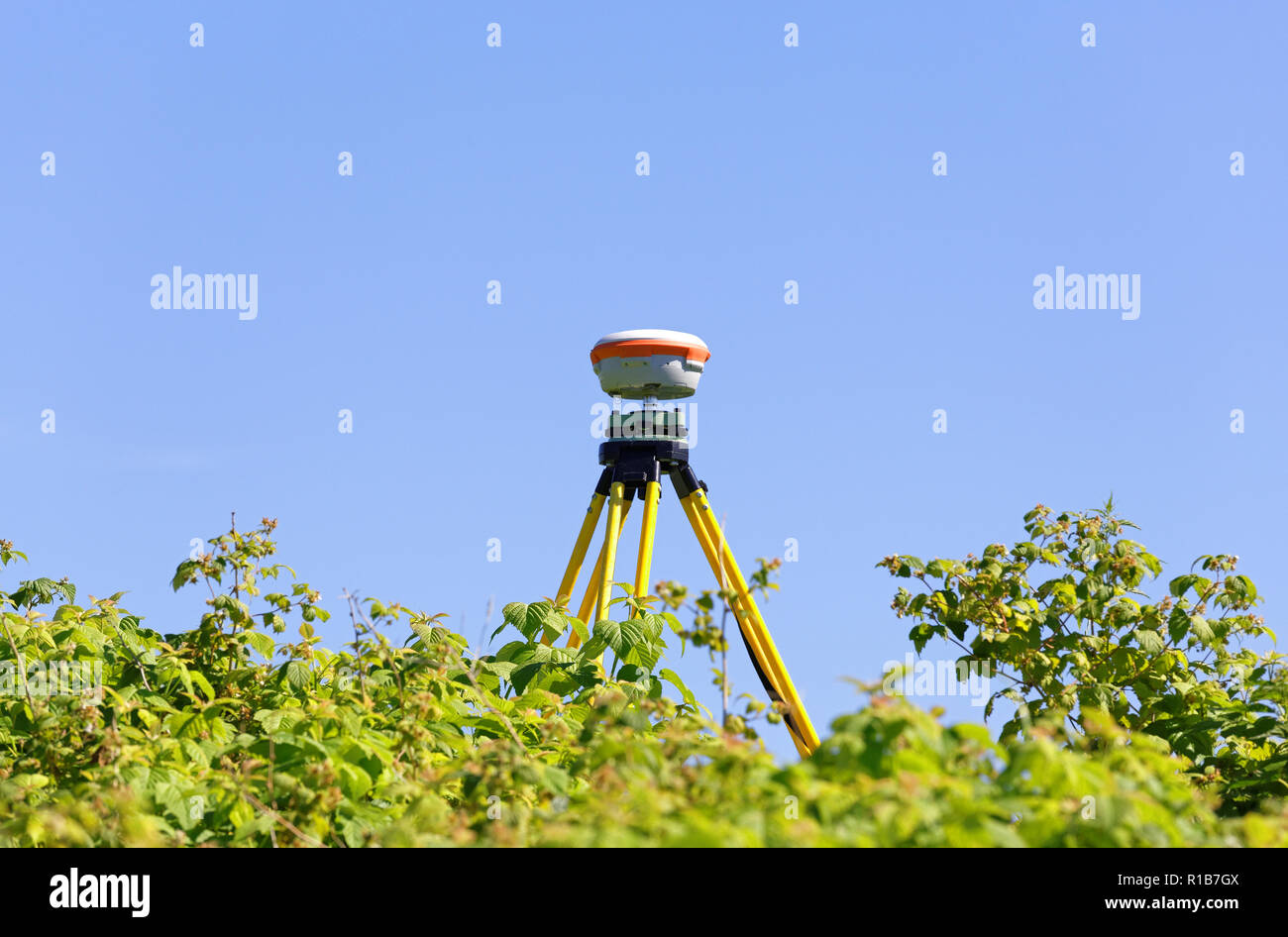 GNSS-geodätische Empfänger montiert auf einem alten Stativ vor dem Hintergrund des blauen Himmels und Laub des wilden Himbeersträucher. Praktische Anwendung in der Stockfoto