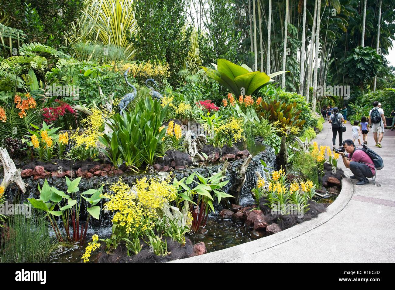 National Orchid Garden in Singapore Botanic Gardens Stockfoto