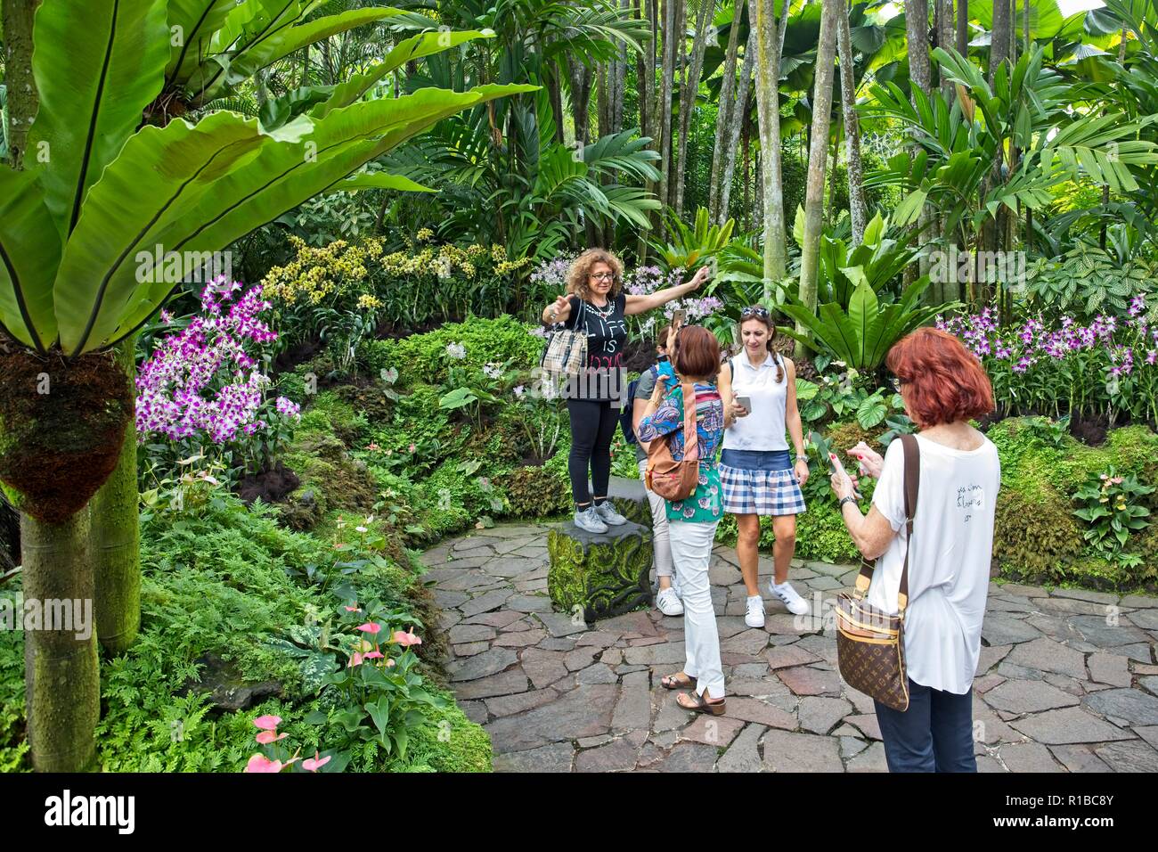 National Orchid Garden in Singapore Botanic Gardens Stockfoto