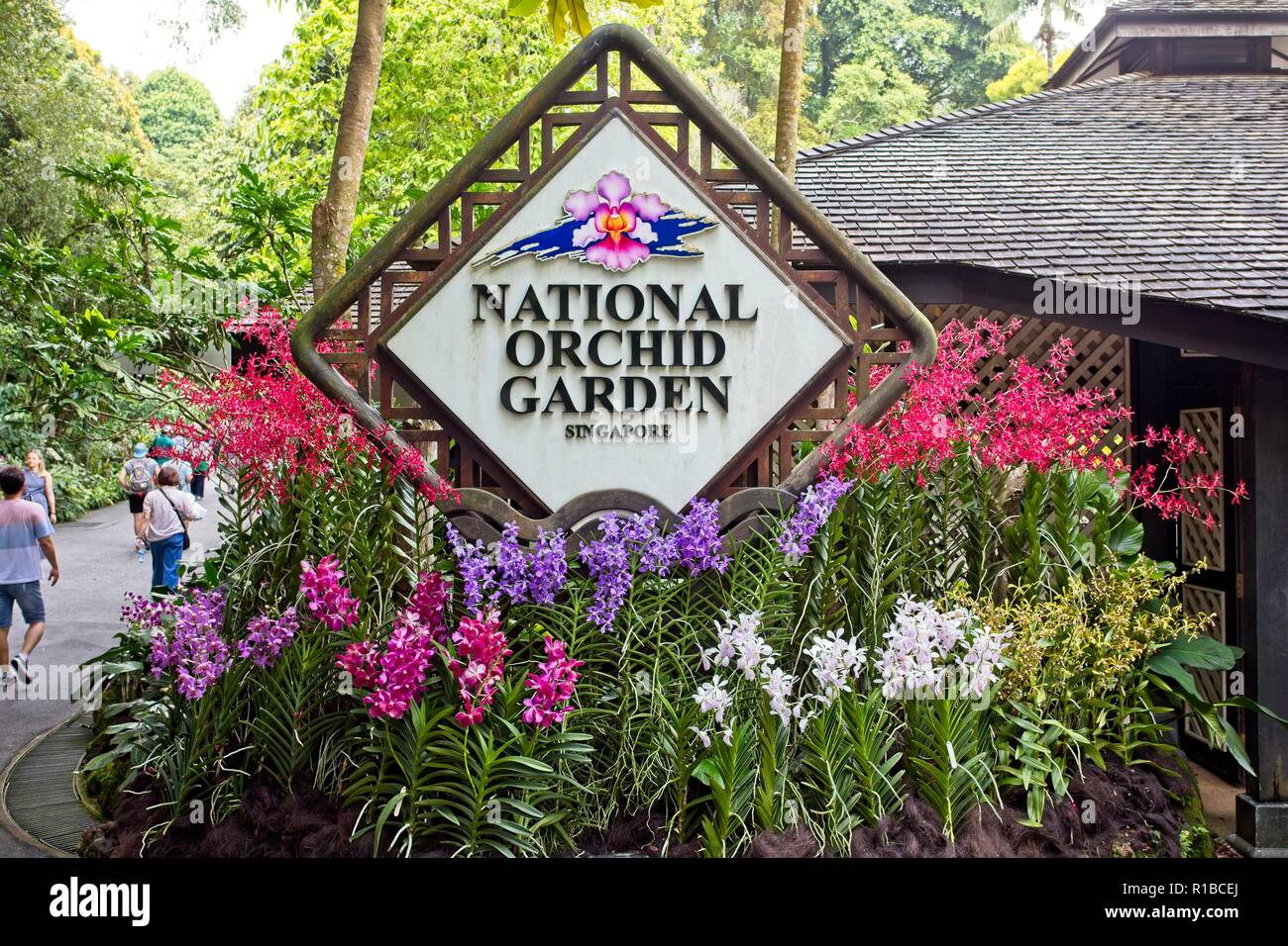 National Orchid Garden in Singapore Botanic Gardens Stockfoto