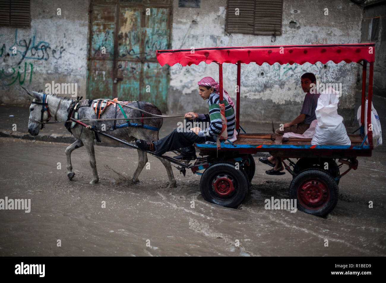 Cart Donkey Heavy Stockfotos Cart Donkey Heavy Bilder Alamy