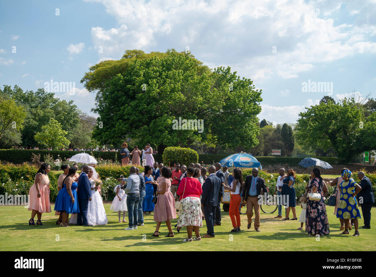 Emmarentia park Fotos und Bildmaterial in hoher Auflösung Alamy