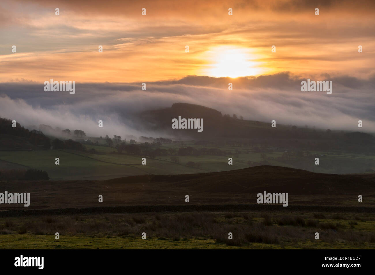 Teesdale, County Durham. Sonntag, den 11. November 2018. UK Wetter. Eine schöne Armistice Day Sonne über den Feldern der Teesdale, Nordost England. Quelle: David Forster/Alamy leben Nachrichten Stockfoto