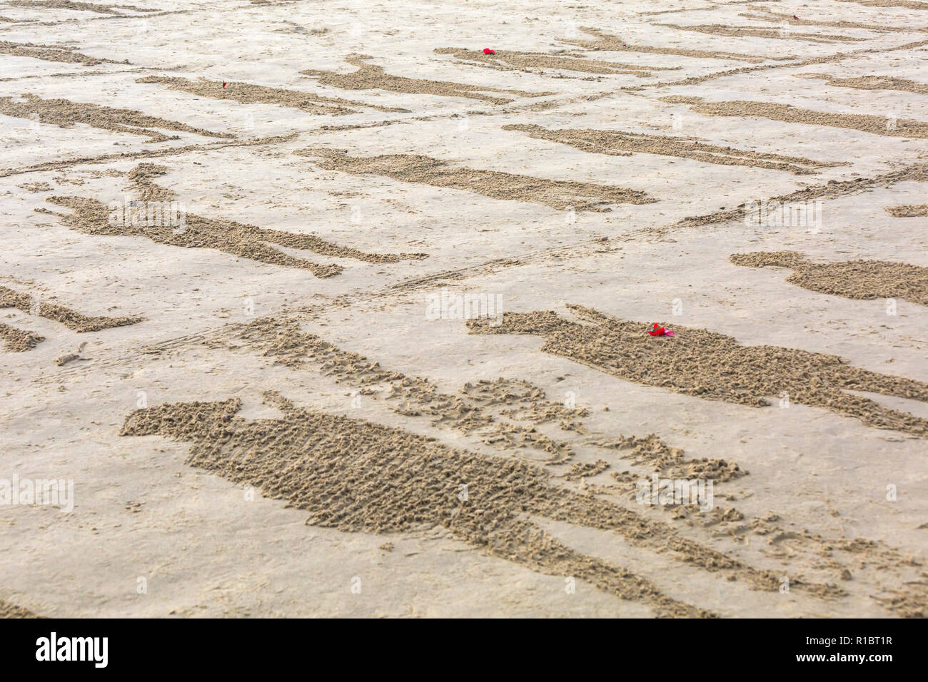 Dorchester, Dorset UK. 11. Nov 2018. Gemeinschaften in Großbritannien sammeln auf Stränden zu 100 Jahre seit dem Waffenstillstand und dem Ende des Ersten Weltkriegs markieren; zu sagen Danke und auf Wiedersehen, die Millionen von Männern und Frauen, die ihre Ufer während des Krieges verlassen, viele nie zurück. Danny Boyle's einzigartigen Seiten des Meeres Credit: Carolyn Jenkins/Alamy leben Nachrichten Stockfoto