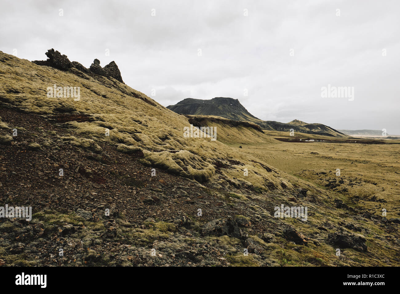 Die leeren Moss vulkanische Landschaft von Island in der Nähe von Rekjavik abgedeckt Stockfoto