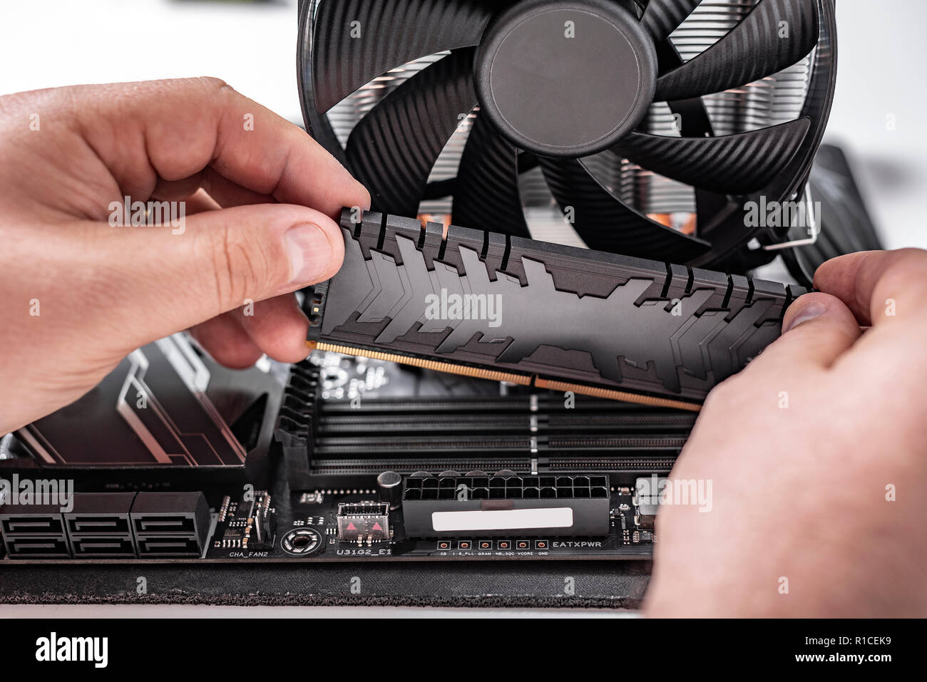 Installieren von Arbeitsspeicher in den PC. Stockfoto