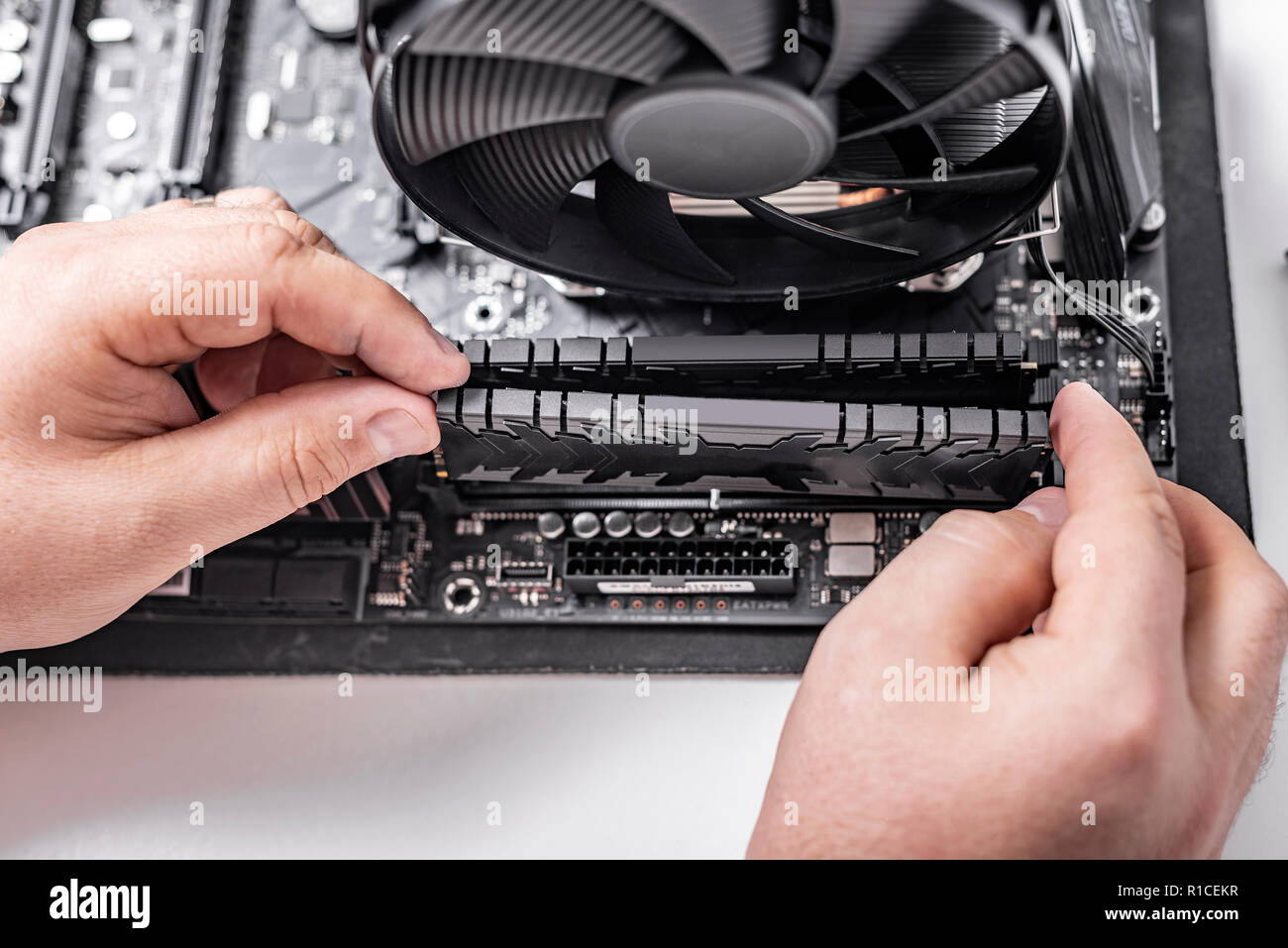 Installieren von Arbeitsspeicher in den PC. Stockfoto