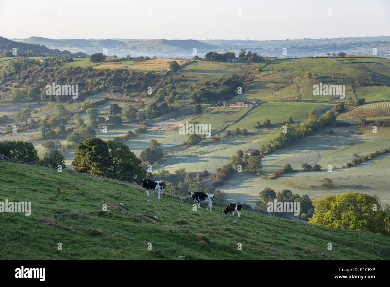 Eine kühle Herbstmorgen in der Taube Tal um Crowdecote, Buxton, England. Eine schöne Gegend des Peak District. Stockfoto