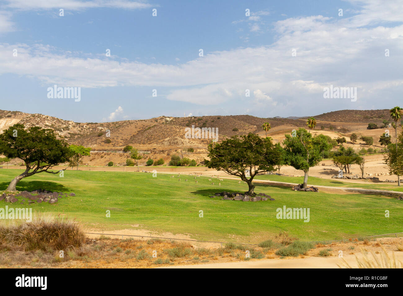 Afrikanische Steppe Bereich der San Diego Zoo Safari Park, Escondido, CA, Vereinigte Staaten von Afrika Straßenbahn mit dem Bus. Stockfoto