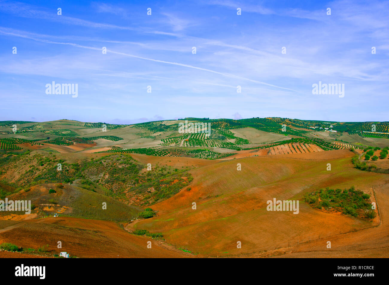 Grünes Feld Landschaft unter dem blauen Himmel, Spanien Stockfoto