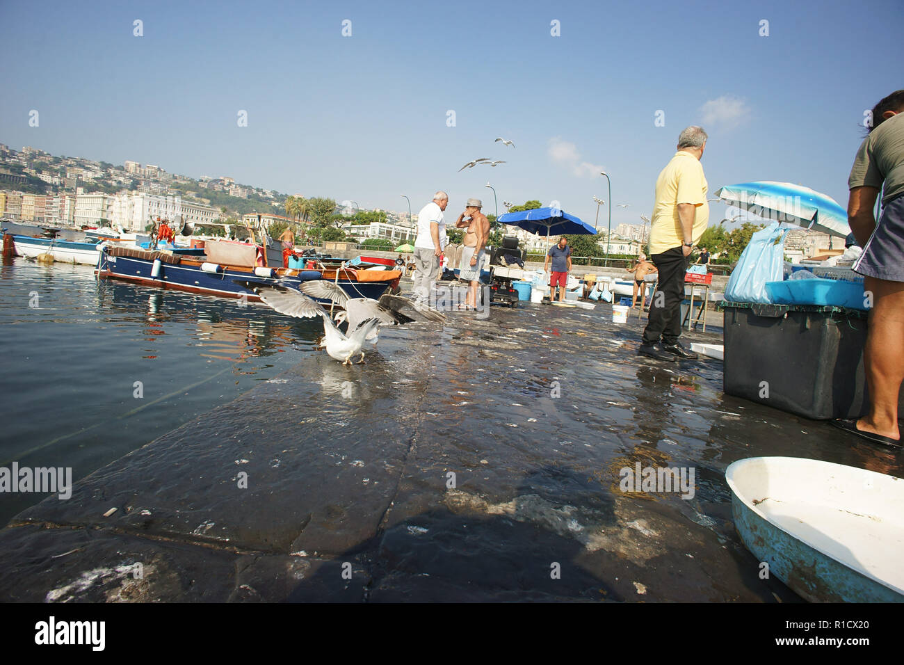 Fischer Verkauf von Fisch, Rotonda Diaz, Stadt Neapel, Golf von Neapel, Italien Stockfoto