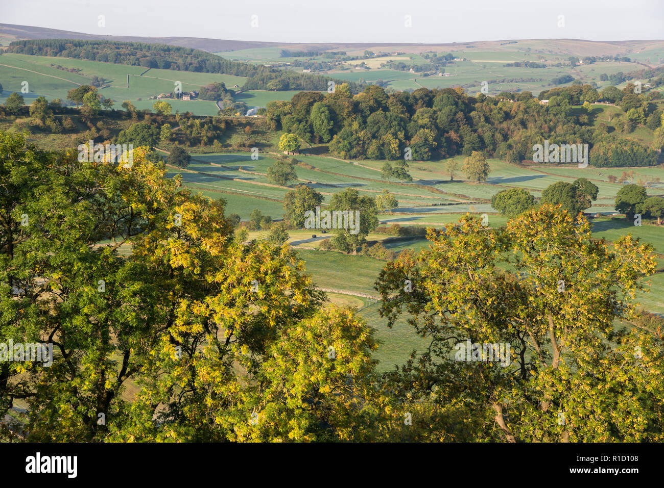 Eine kühle Herbstmorgen in der Taube Tal um Crowdecote, Buxton, England. Eine schöne Gegend des Peak District. Stockfoto