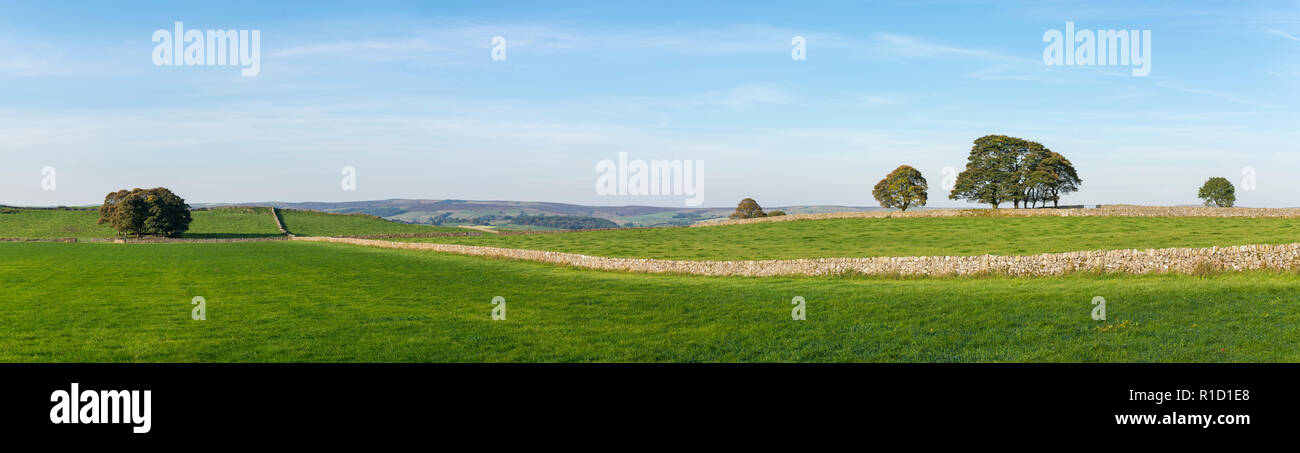 Panoramablick auf die ländliche Szene in der Nähe von Buxton in der Landschaft Peak District, Derbyshire, England. Stockfoto