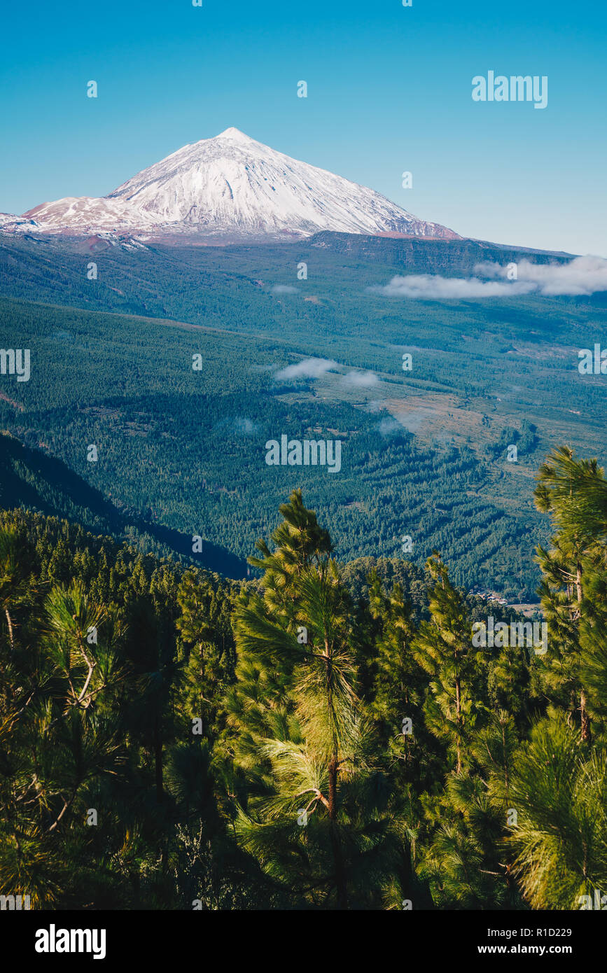 Teide, Teneriffa. Erstaunliche Berg in der Mitte der Insel. Beste touristische Attraktion der Kanarischen Inseln. Stockfoto