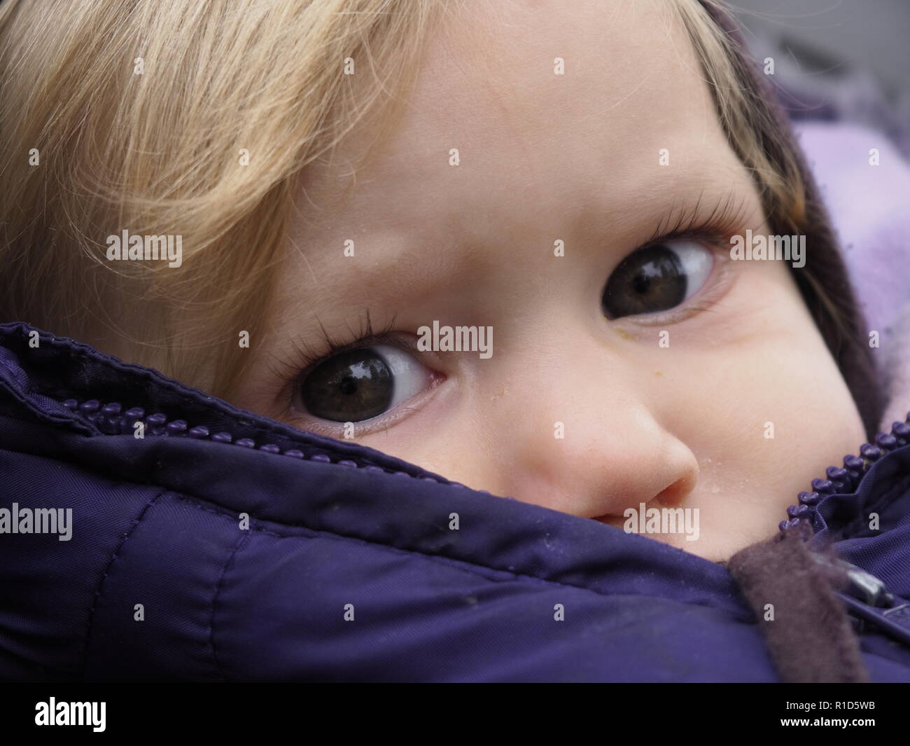 Blond kaukasische Baby Mädchen mit grauen Augen im Winter Jacke an Kamera suchen Stockfoto