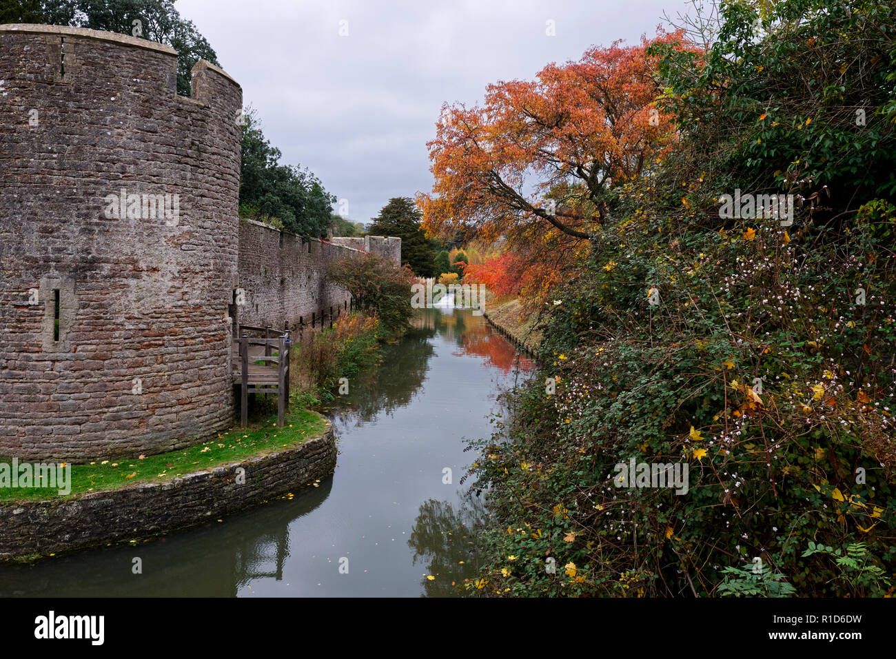Herbstfarben im November an der Bischofspalast Wassergraben. Wells, Somerset, Großbritannien Stockfoto