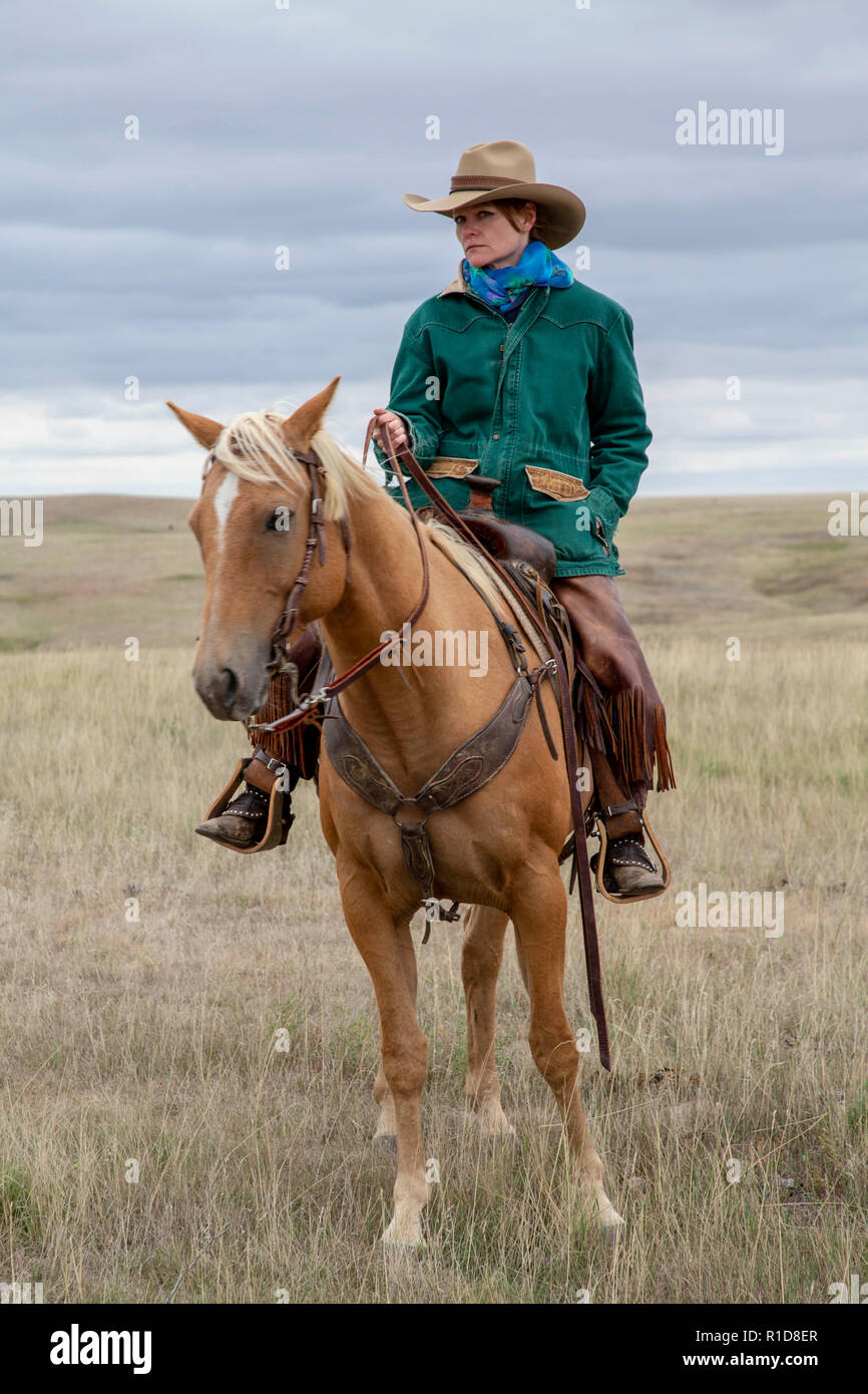 Cowhands im Feld in South Dakota Stockfoto