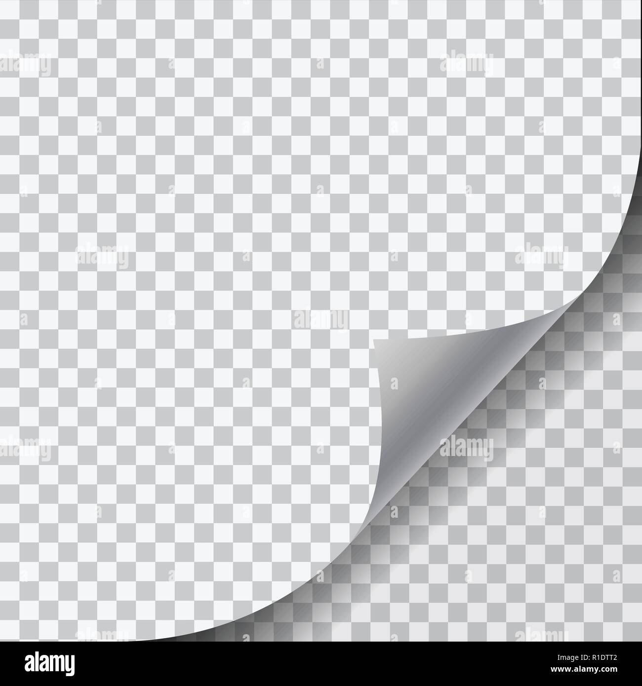 Realistische Abbildung: eine leere weiße Seite mit gewellten Ecke und Schatten auf Transparenten Hintergrund-Vektor Stock Vektor
