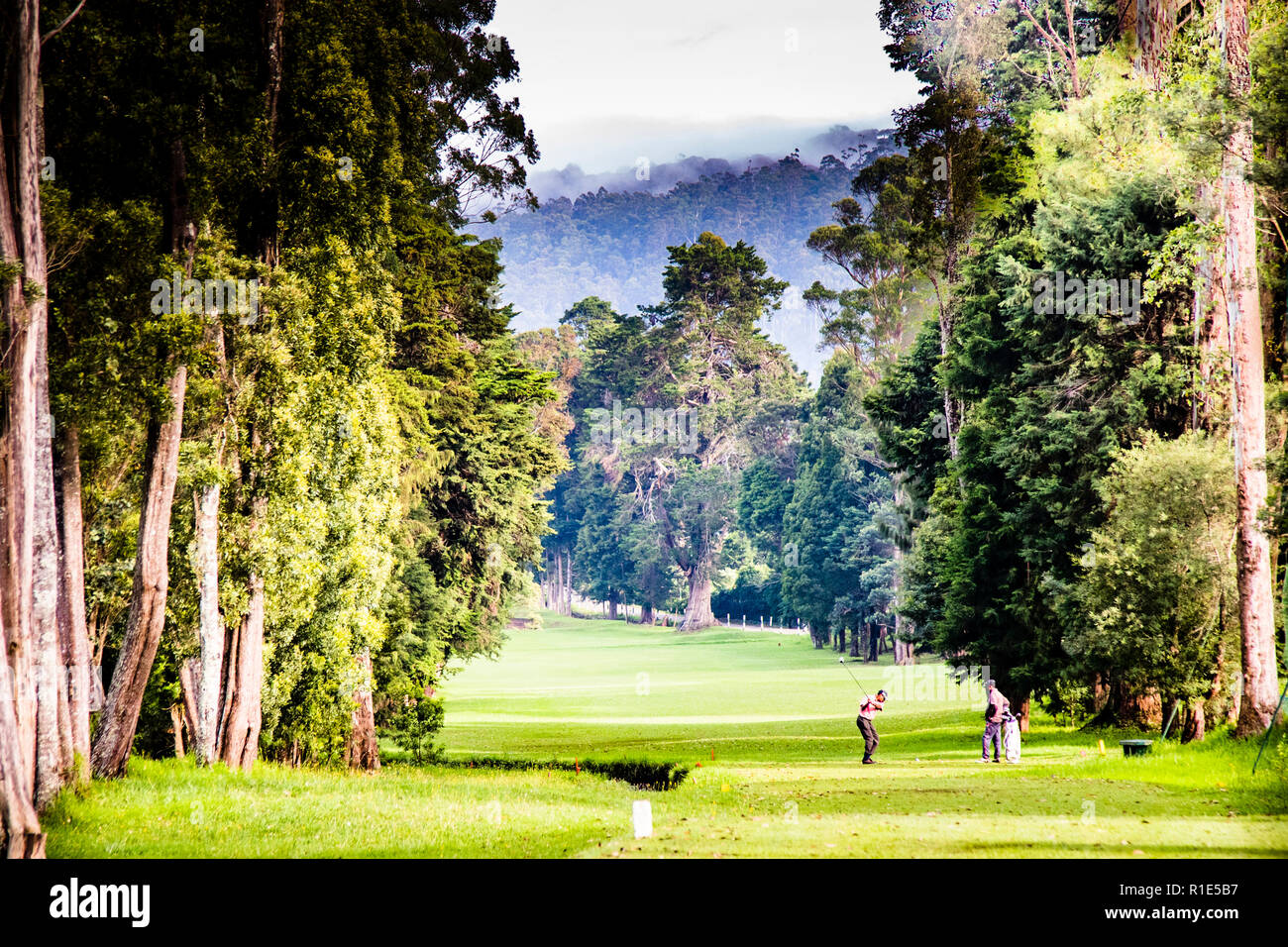 Golfplatz Nuwara Eliya, Sri Lanka Stockfoto