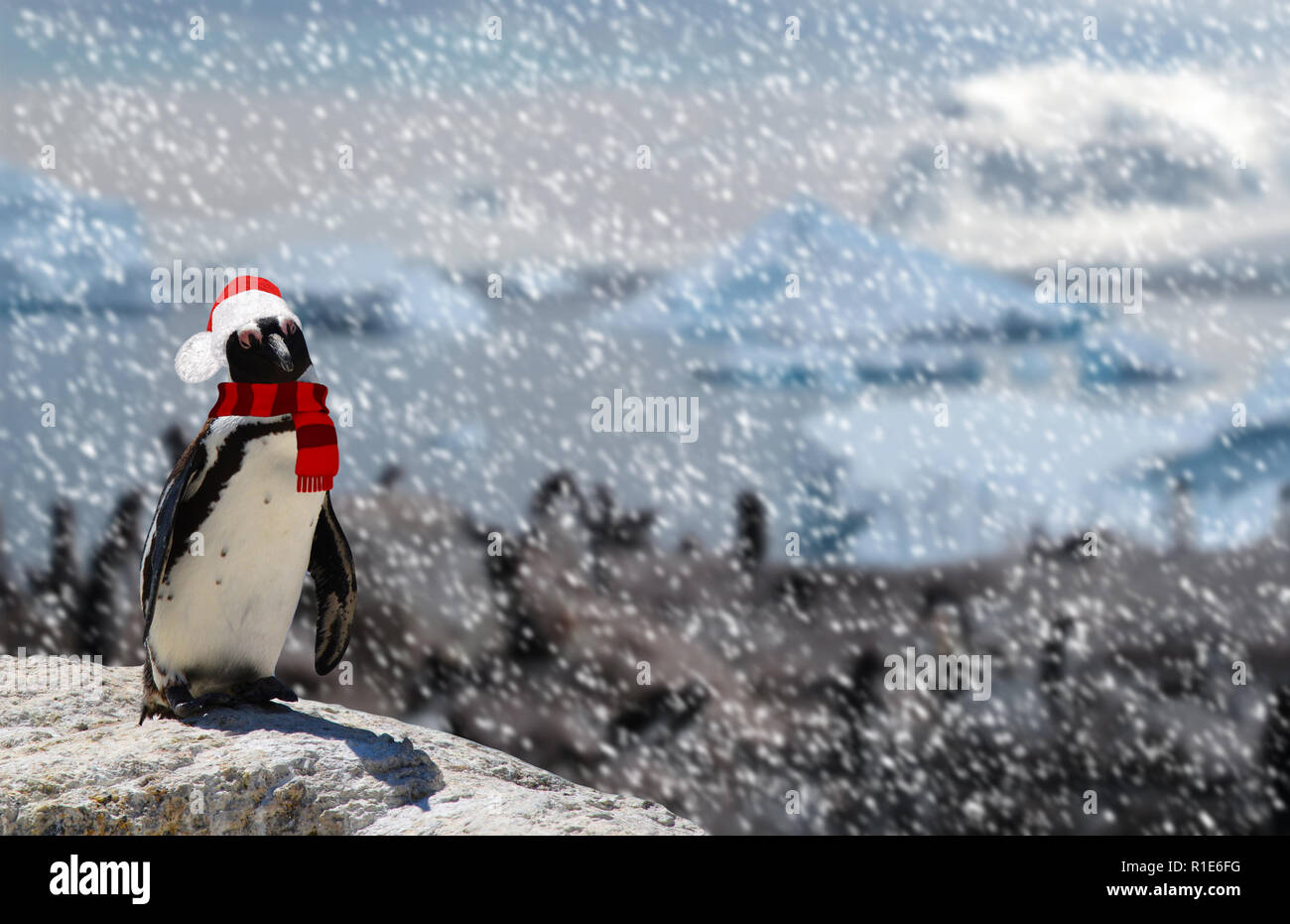 Winter Konzept Eine Lustige Pinguin Stehend Auf Einem Felsen Tragen Ein Weihnachtsmann Mutze Und Schal Wahrend Schneit Und Eine Familie Der Pinguine Stockfotografie Alamy