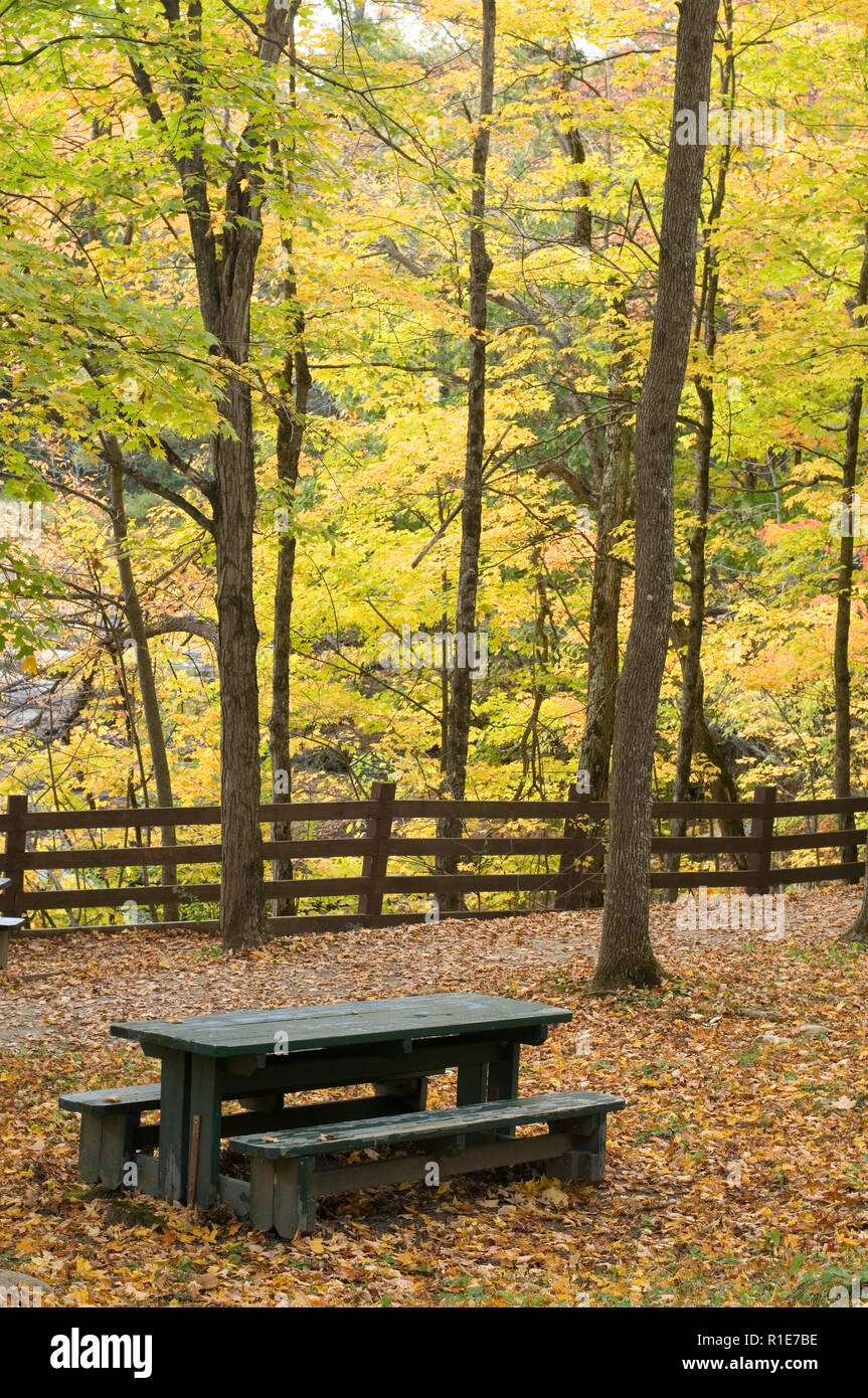 Schönen Herbst Szene in einem öffentlichen Park in Outaouais Quebec Stockfoto