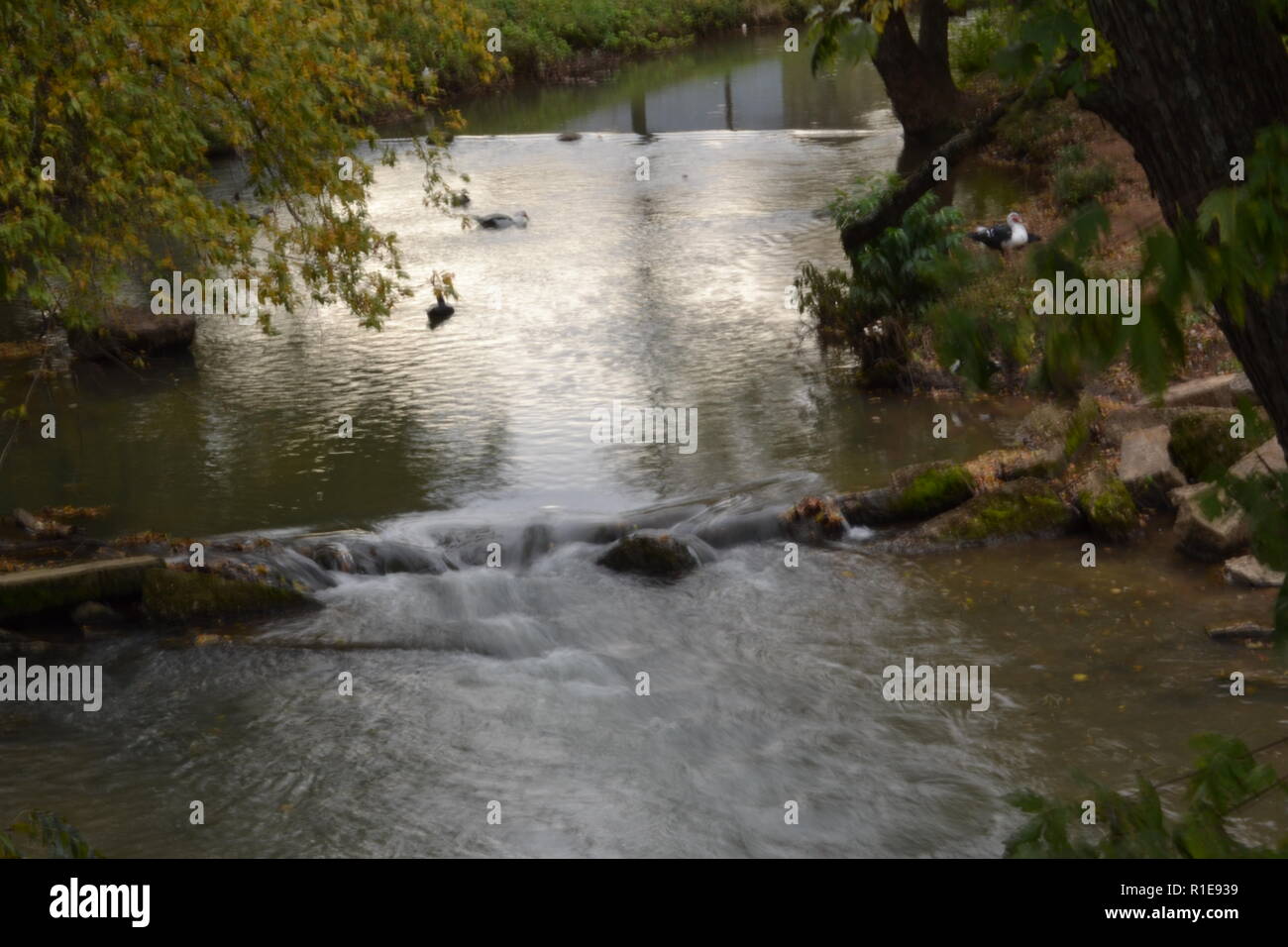 Herbst Landschaften Sweetwater Creek am Sweetwater Ente Park Stockfoto