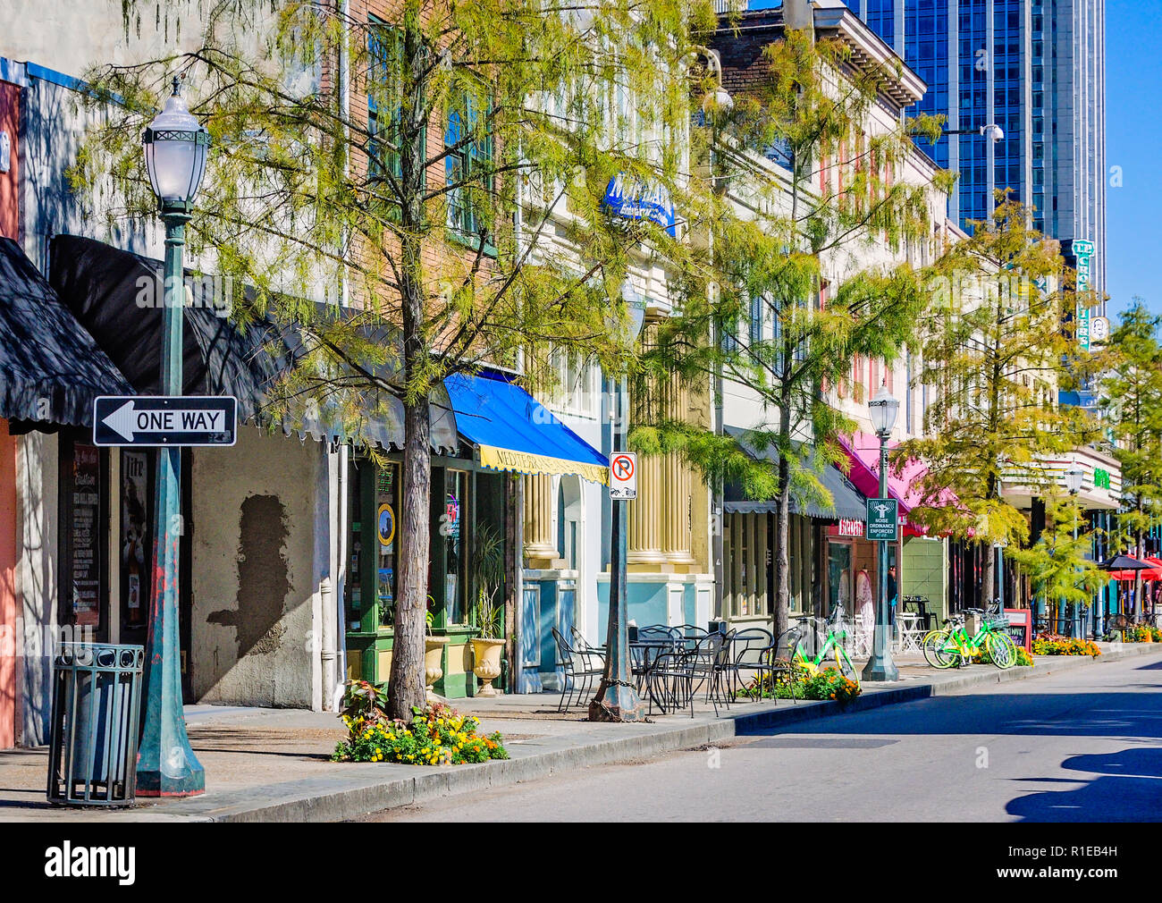 Blätter ändern Farben auf Dauphin Street, Nov. 3, 2018, in Mobile, Alabama. Stockfoto