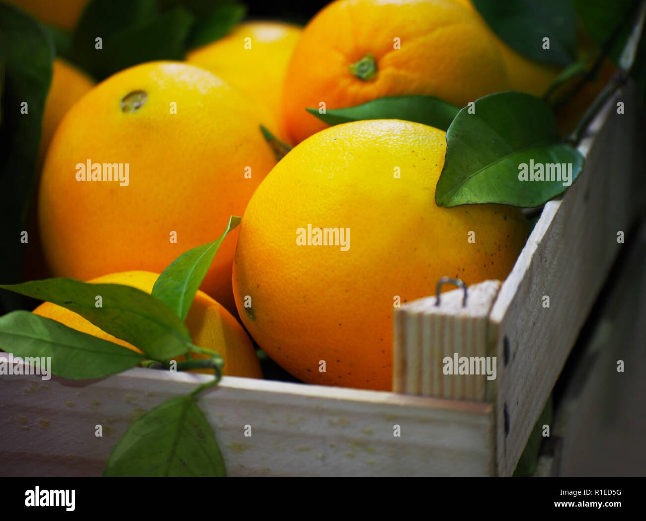 Frische Orangen auf dem Markt Stockfoto