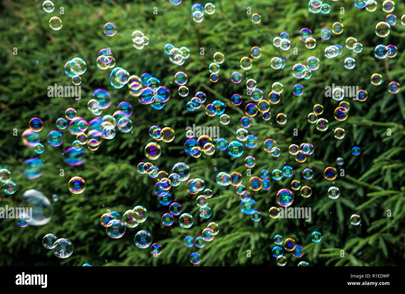 Viele bunte kleine Seifenblasen fliegen im Freien, grünen Bäumen Hintergrund. Stockfoto